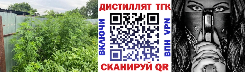 мега ТОР закладки Приморск Дистиллят ТГК гашишное масло